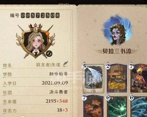 觉醒凤凰技能搭配攻略（火焰燃尽敌人，凤凰崛起无敌）