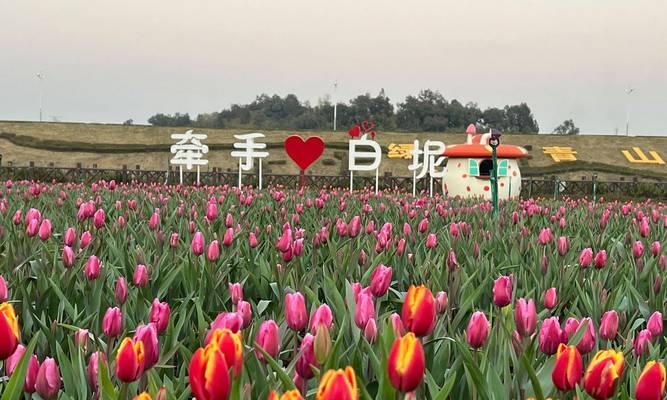 探索原神中的花田后山露营之旅（花田后山露营攻略及必备装备推荐）